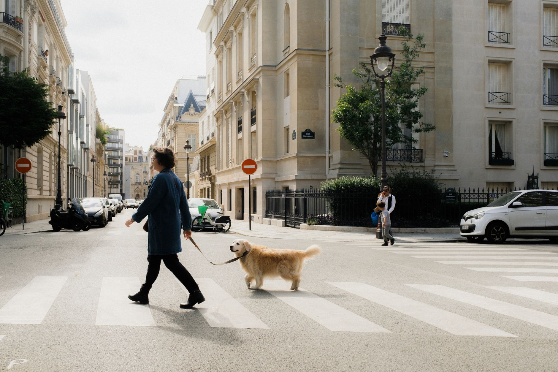 Femme et golden retriever traversant une rue parisienne — façades haussmanniennes