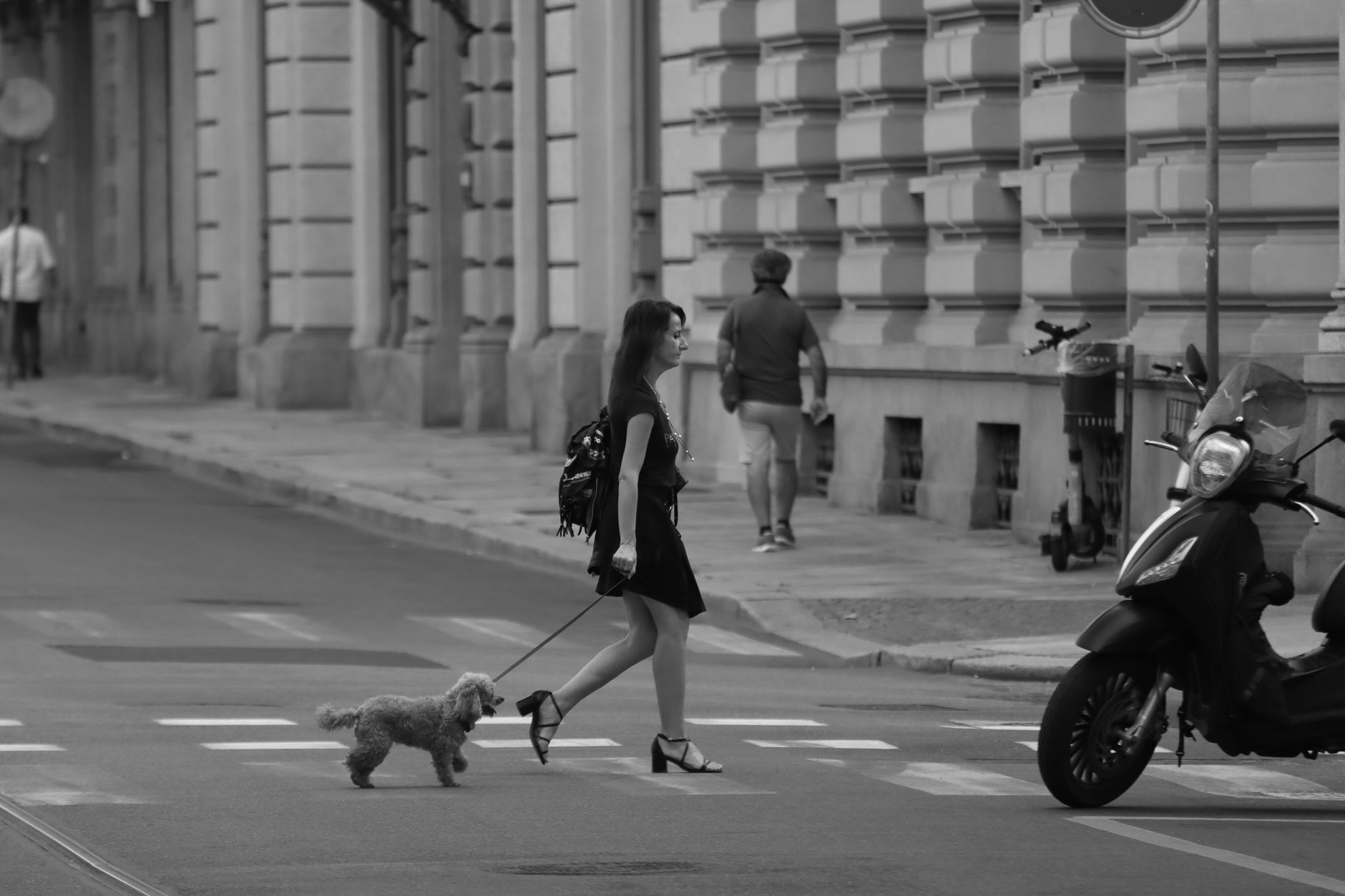 Donna con cane che attraversa una strada di Torino — architettura del centro